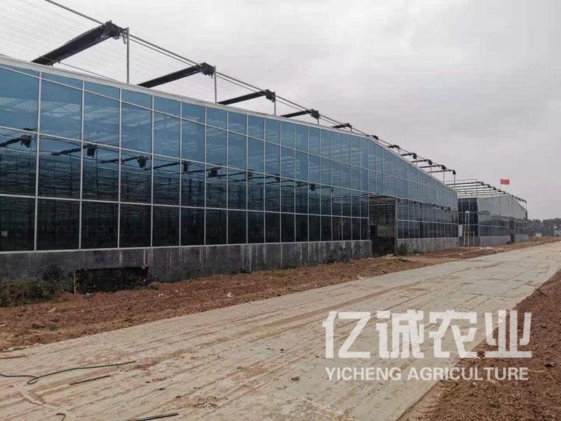 智能溫室建設(shè)報價 智能溫室建設(shè)報價