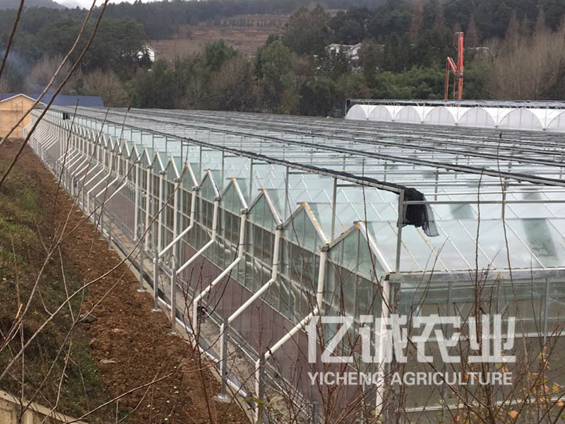 溫室大棚建設報價 溫室大棚建設報價