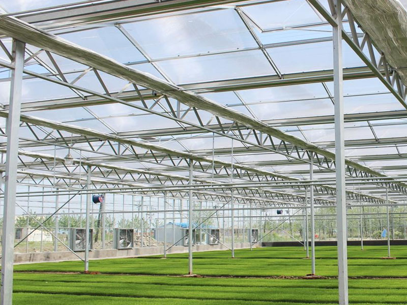 智能溫室大棚 智能溫室大棚