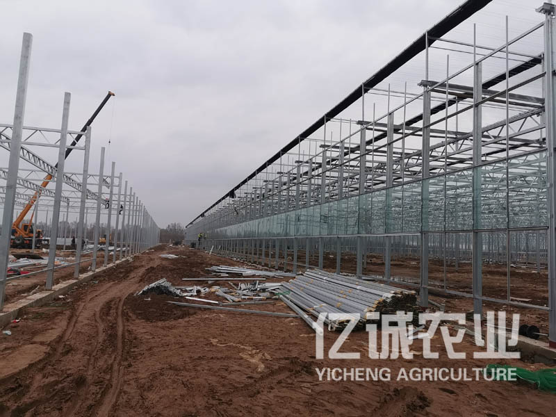 連棟溫室大棚建設廠家  連棟溫室大棚建設廠家