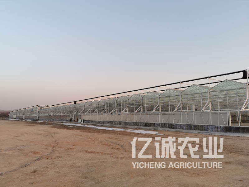 溫室大棚建設(shè) 溫室大棚建設(shè)
