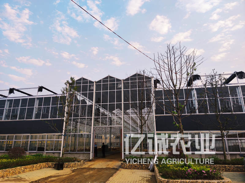 玻璃智能溫室大棚造價(jià) 玻璃智能溫室大棚造價(jià)