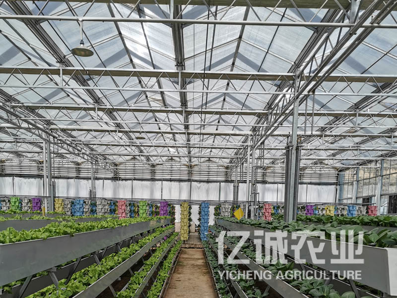 現代溫室大棚建設 現代溫室大棚建設