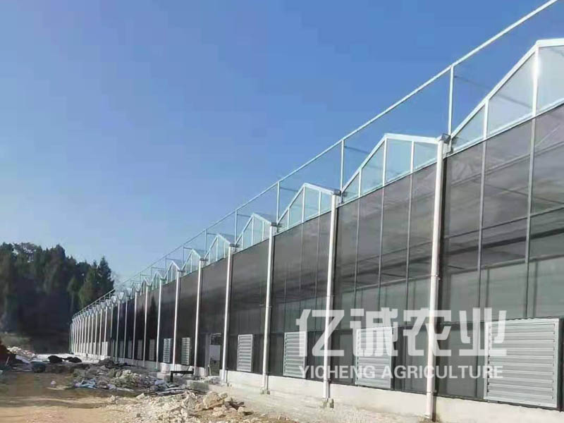 智能玻璃溫室大棚 智能玻璃溫室大棚