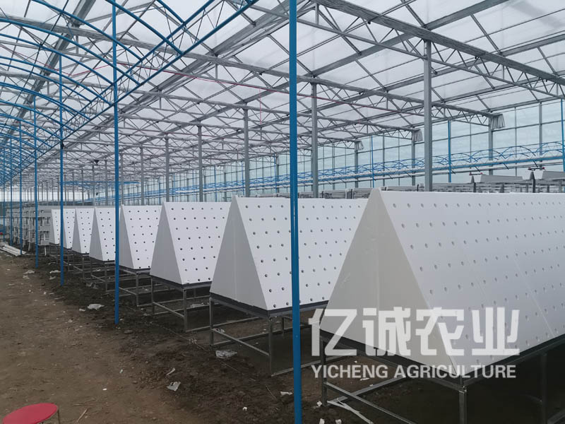 薯類(lèi)作物的溫室大棚怎么建設(shè)?造價(jià)高不高?