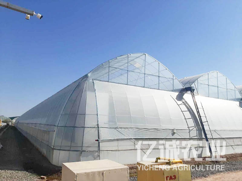 溫室大棚建設 溫室大棚建設