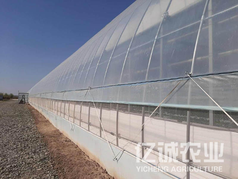 溫室大棚建設 溫室大棚建設