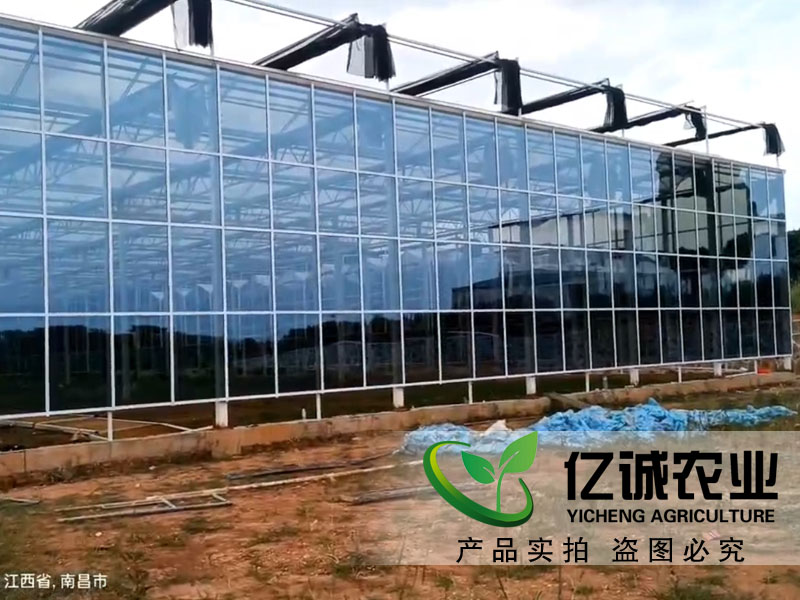 江西南昌溫室大棚建設 江西南昌溫室大棚建設