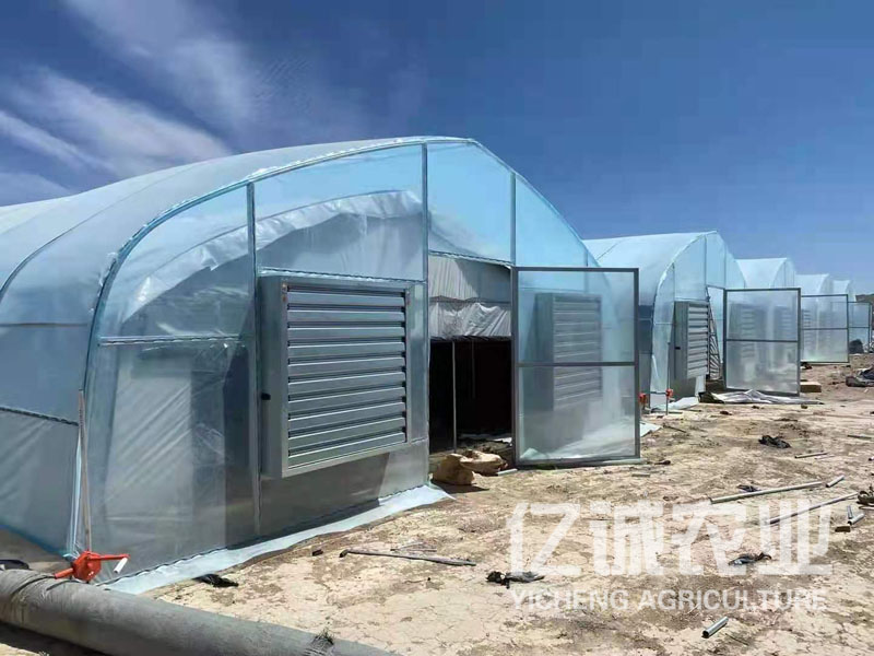 雙膜骨架大棚 雙膜骨架大棚