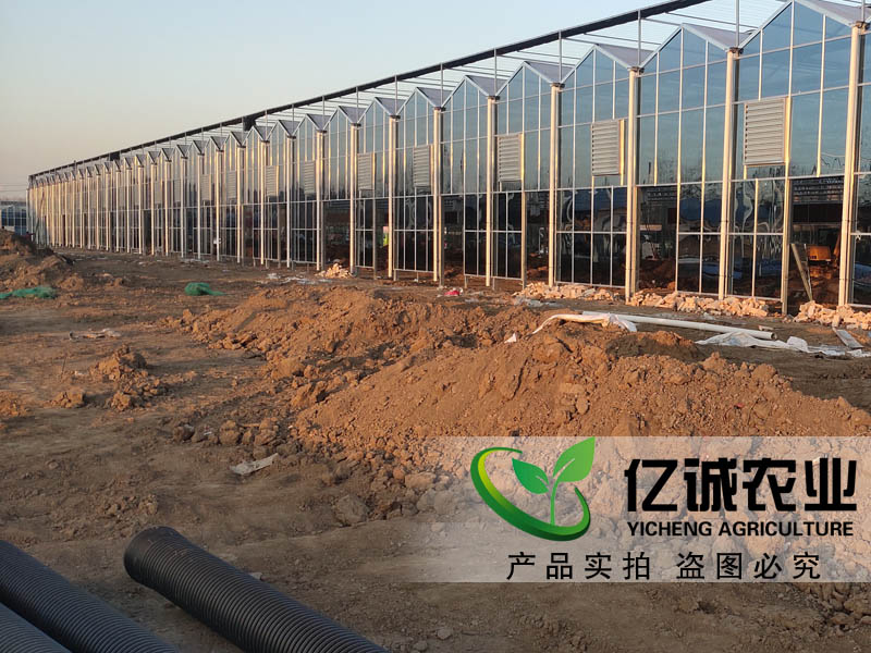 玻璃溫室工程 玻璃溫室工程